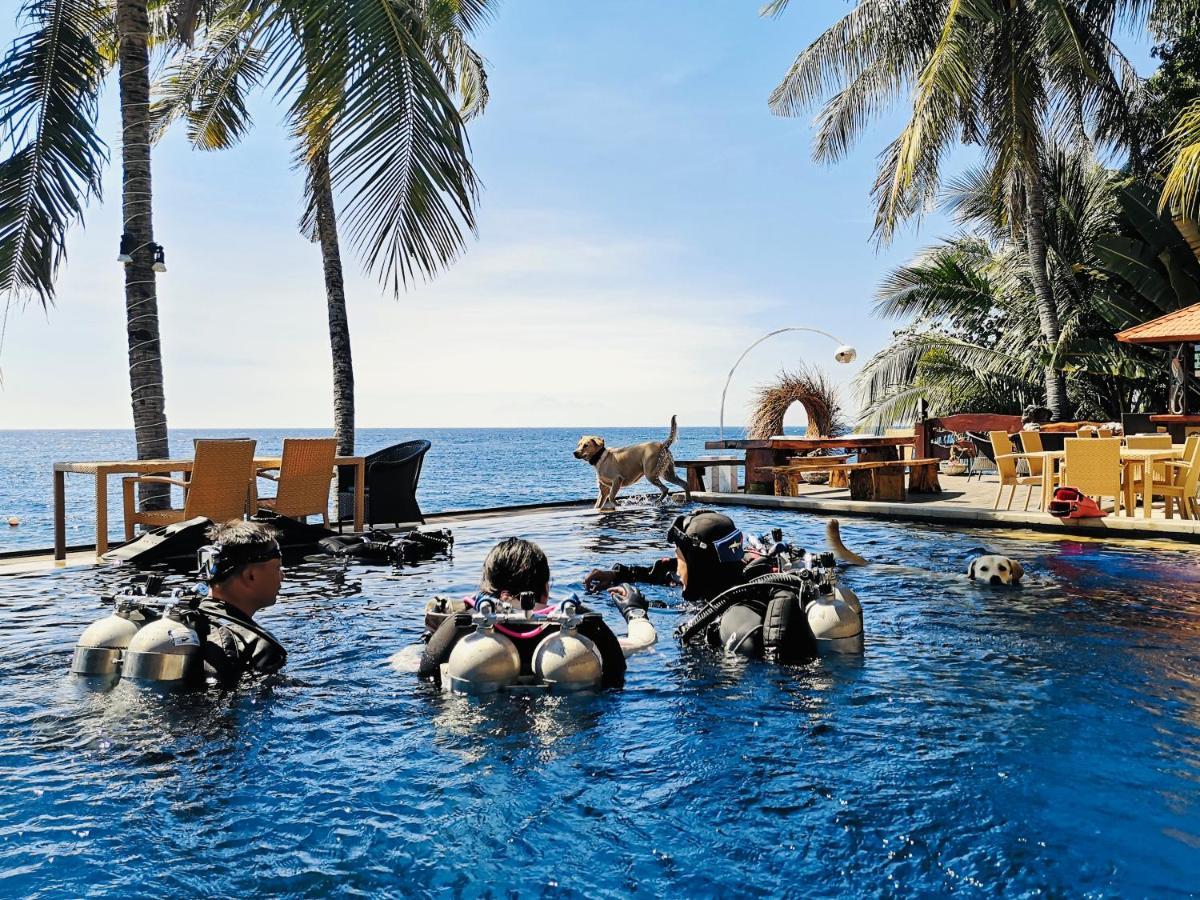Villa Alba Bali Dive Resort Tulamben Exteriér fotografie